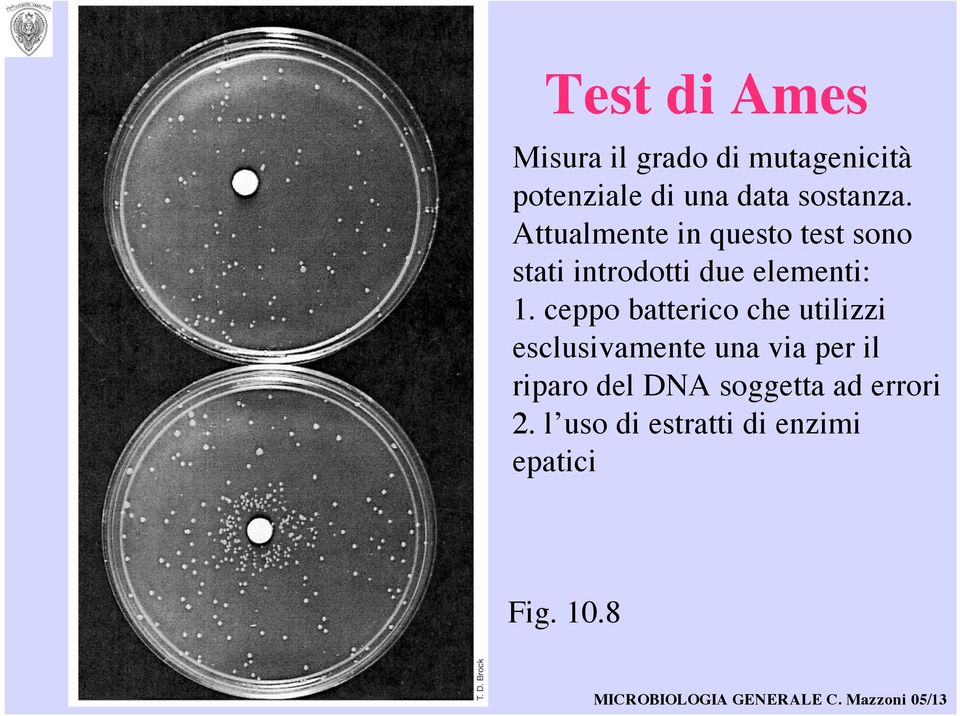 Attualmente in questo test sono stati introdotti due elementi: 1.