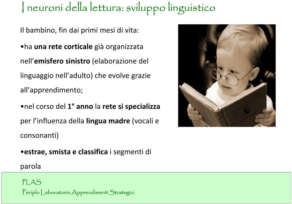 adulto) che evolve grazie all apprendimento; nel corso del 1 anno la rete si specializza per