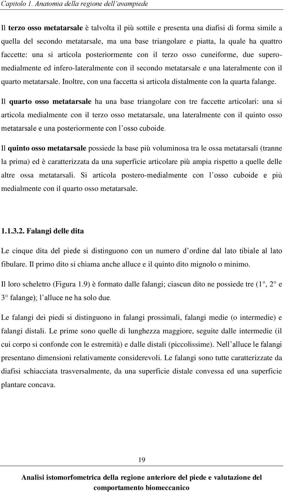 quale ha quattro faccette: una si articola posteriormente con il terzo osso cuneiforme, due superomedialmente ed infero-lateralmente con il secondo metatarsale e una lateralmente con il quarto