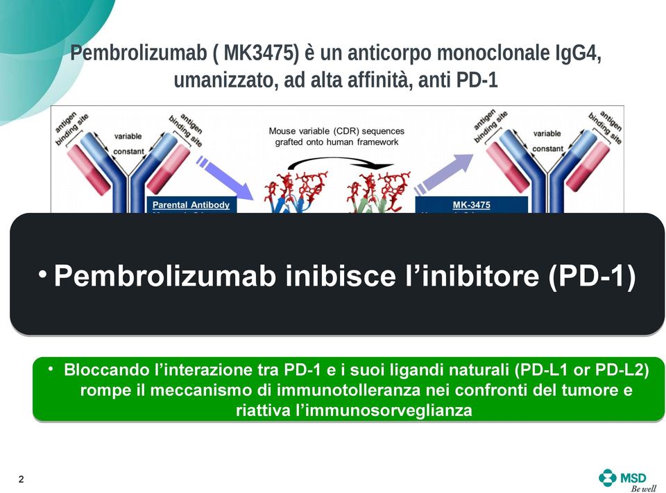 (ADCC/CDC) activity Contains stabilizing S228P sequence alteration Pembrolizumab inibisce l inibitore (PD-1) Bloccando l interazione
