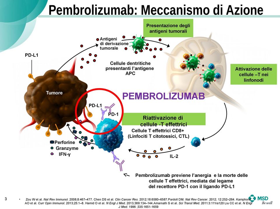 previene l anergia e la morte delle cellule T effettrici, mediata dal legame del recettore PD-1 con il ligando PD-L1 3 Zou W et al. Nat Rev Immunol. 2008;8:467 477. Chen DS et al. Clin Cancer Res.