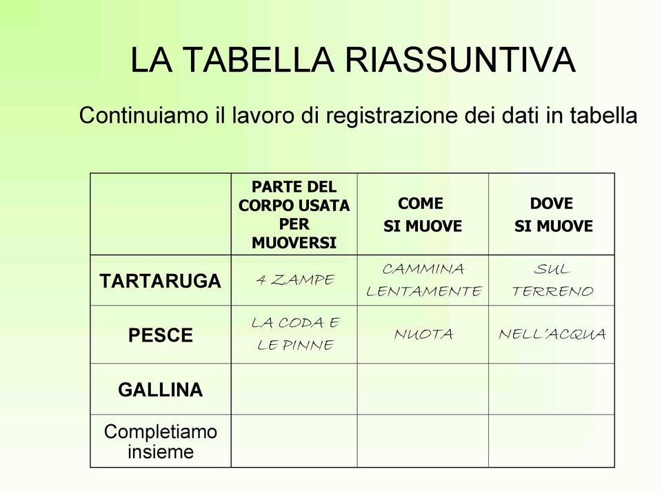 DOVE SI MUOVE TARTARUGA 4 ZAMPE CAMMINA LENTAMENTE SUL TERRENO