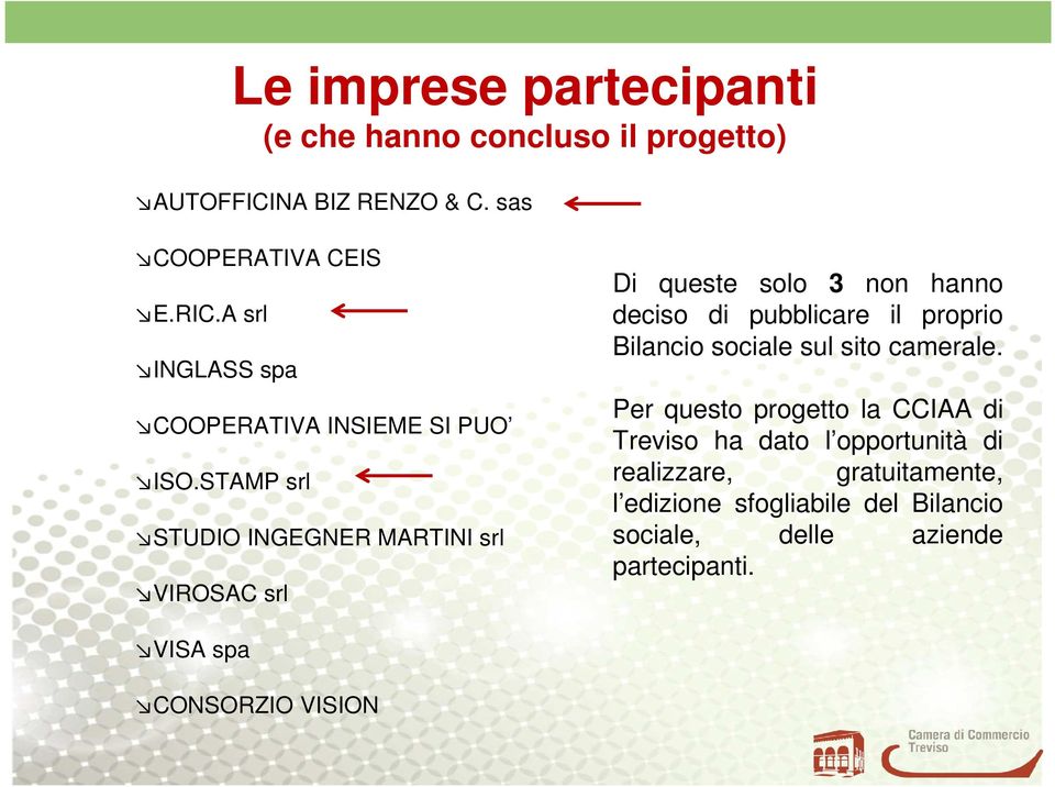 STAMP srl STUDIO INGEGNER MARTINI srl VIROSAC srl Di queste solo 3 non hanno deciso di pubblicare il proprio Bilancio