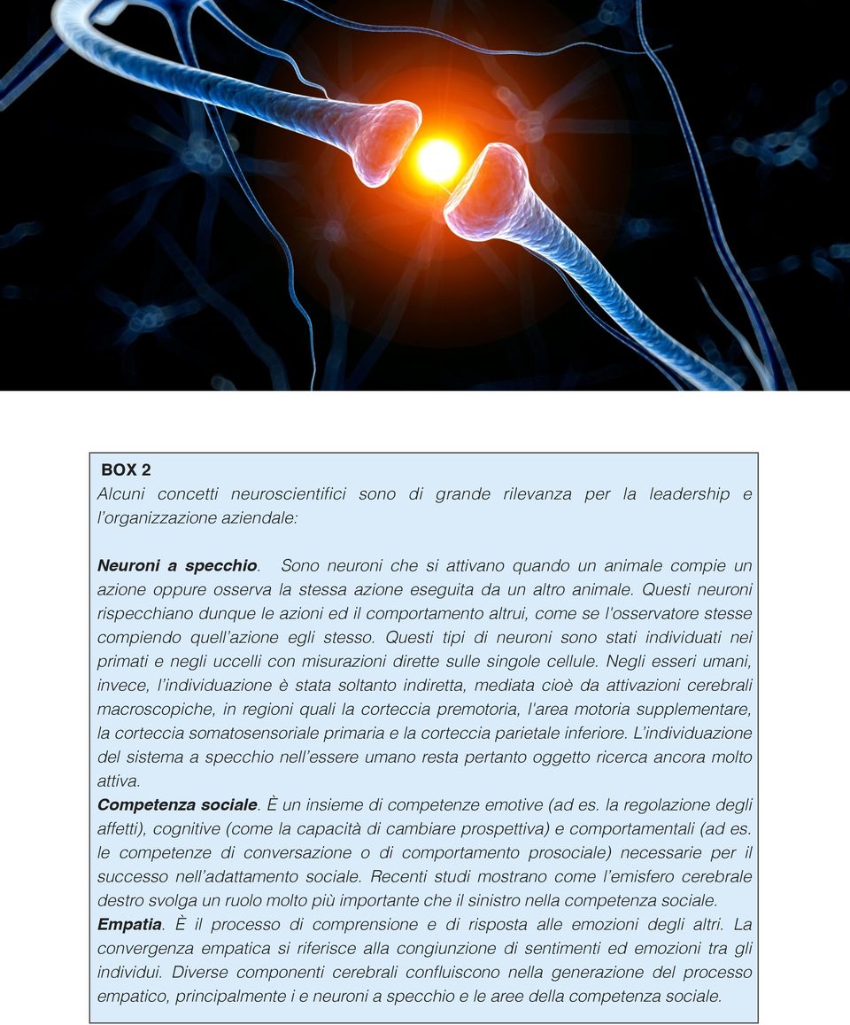 Questi neuroni rispecchiano dunque le azioni ed il comportamento altrui, come se l'osservatore stesse compiendo quell azione egli stesso.