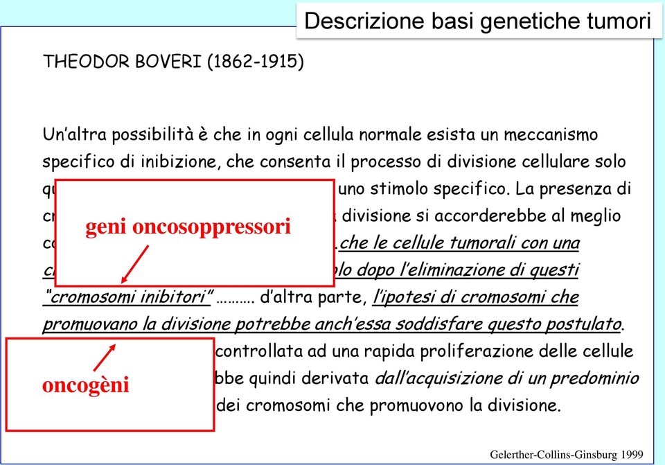 La presenza di cromosomi specifici che inibiscono la divisione si accorderebbe al meglio geni oncosoppressori con la mia ipotesi fondamentale.