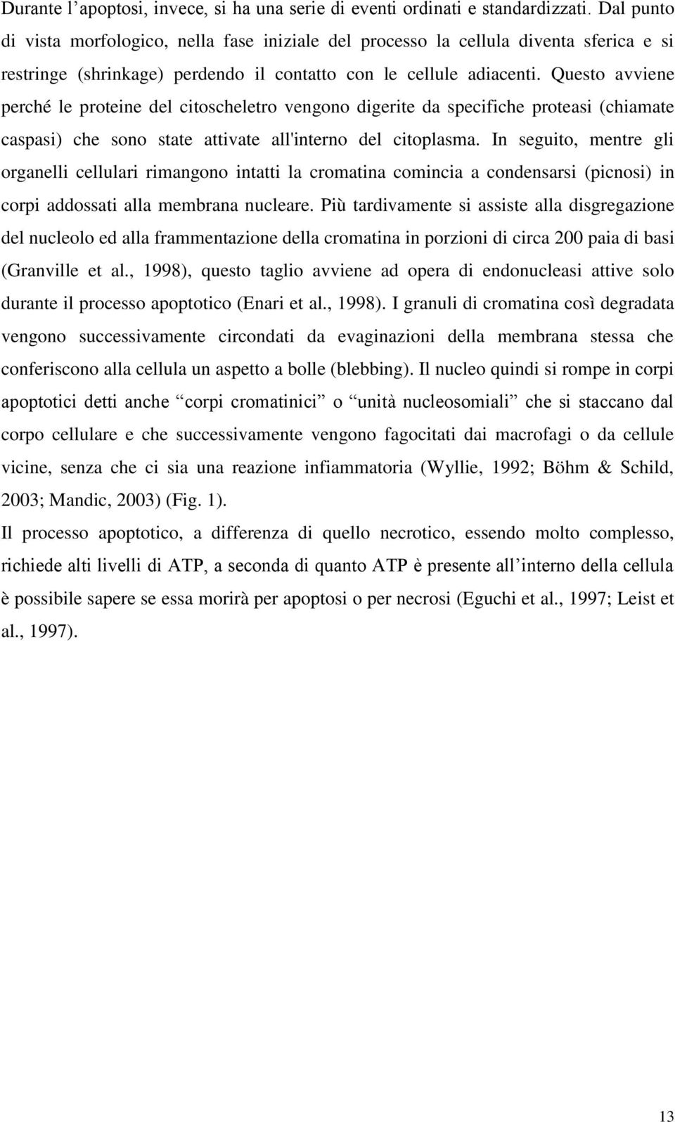 Questo avviene perché le proteine del citoscheletro vengono digerite da specifiche proteasi (chiamate caspasi) che sono state attivate all'interno del citoplasma.