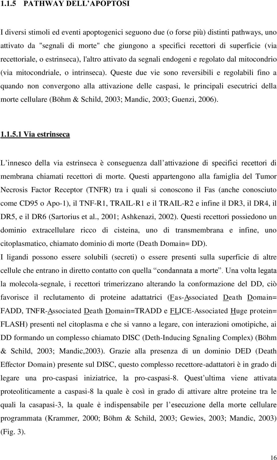 Queste due vie sono reversibili e regolabili fino a quando non convergono alla attivazione delle caspasi, le principali esecutrici della morte cellulare (Böhm & Schild, 2003; Mandic, 2003; Guenzi,