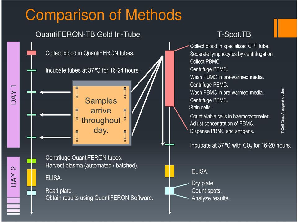 Count viable cells in haemocytometer. Adjust concentration of PBMC. Dispense PBMC and antigens. T-Cell Xtend reagent option DAY 2 Centrifuge QuantiFERON tubes.