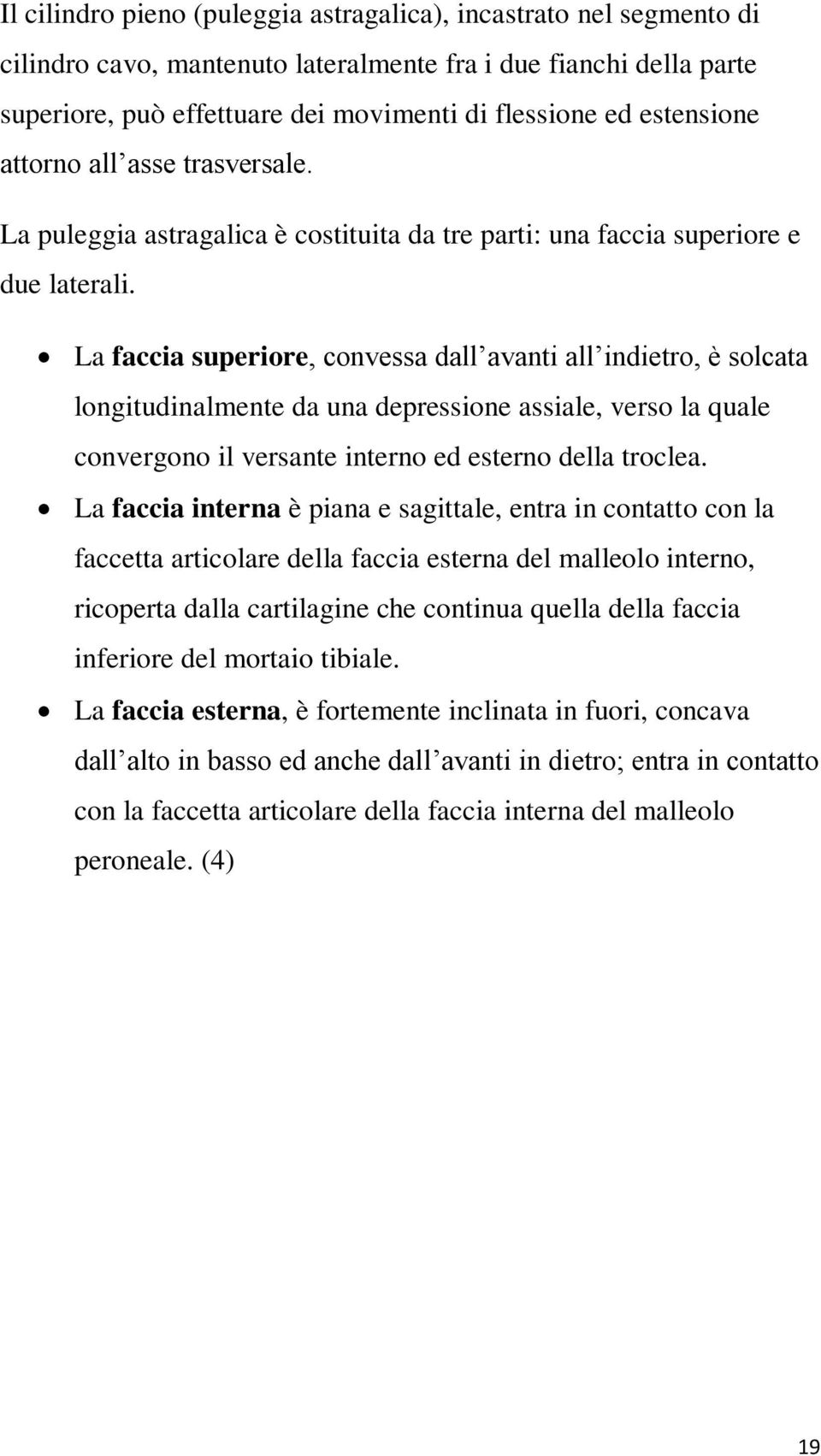 La faccia superiore, convessa dall avanti all indietro, è solcata longitudinalmente da una depressione assiale, verso la quale convergono il versante interno ed esterno della troclea.