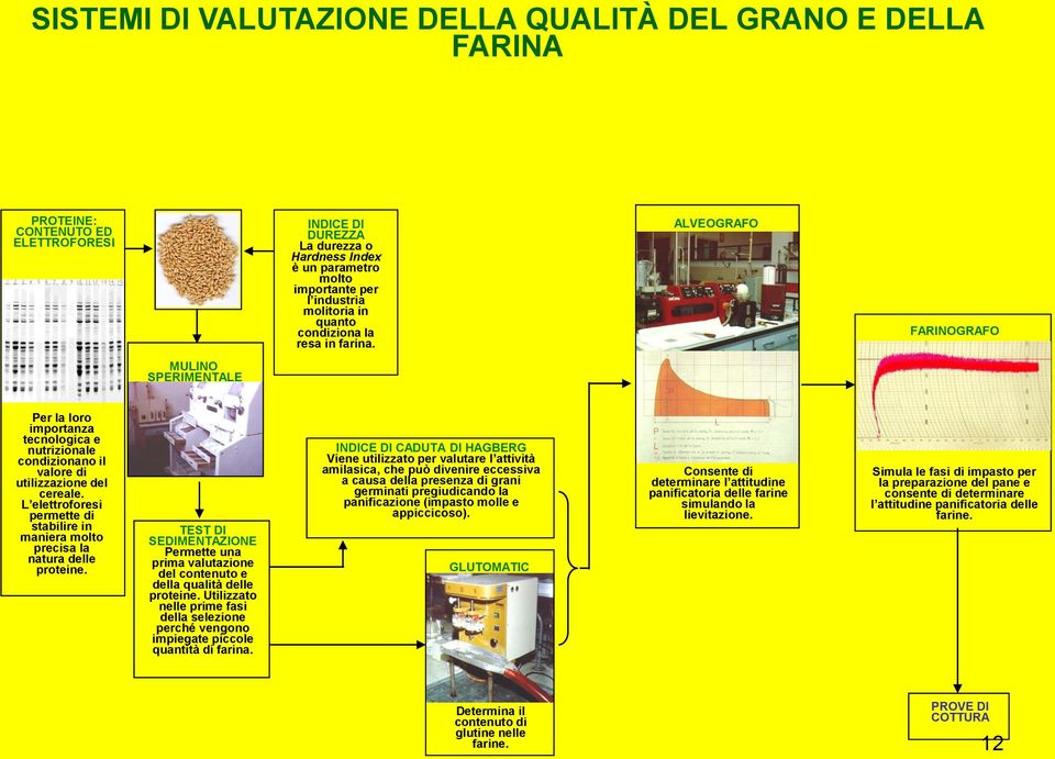 L elettroforesi permette di stabilire in maniera molto precisa la natura delle proteine. TEST DI SEDIMENTAZIONE Permette una prima valutazione del contenuto e della qualità delle proteine.