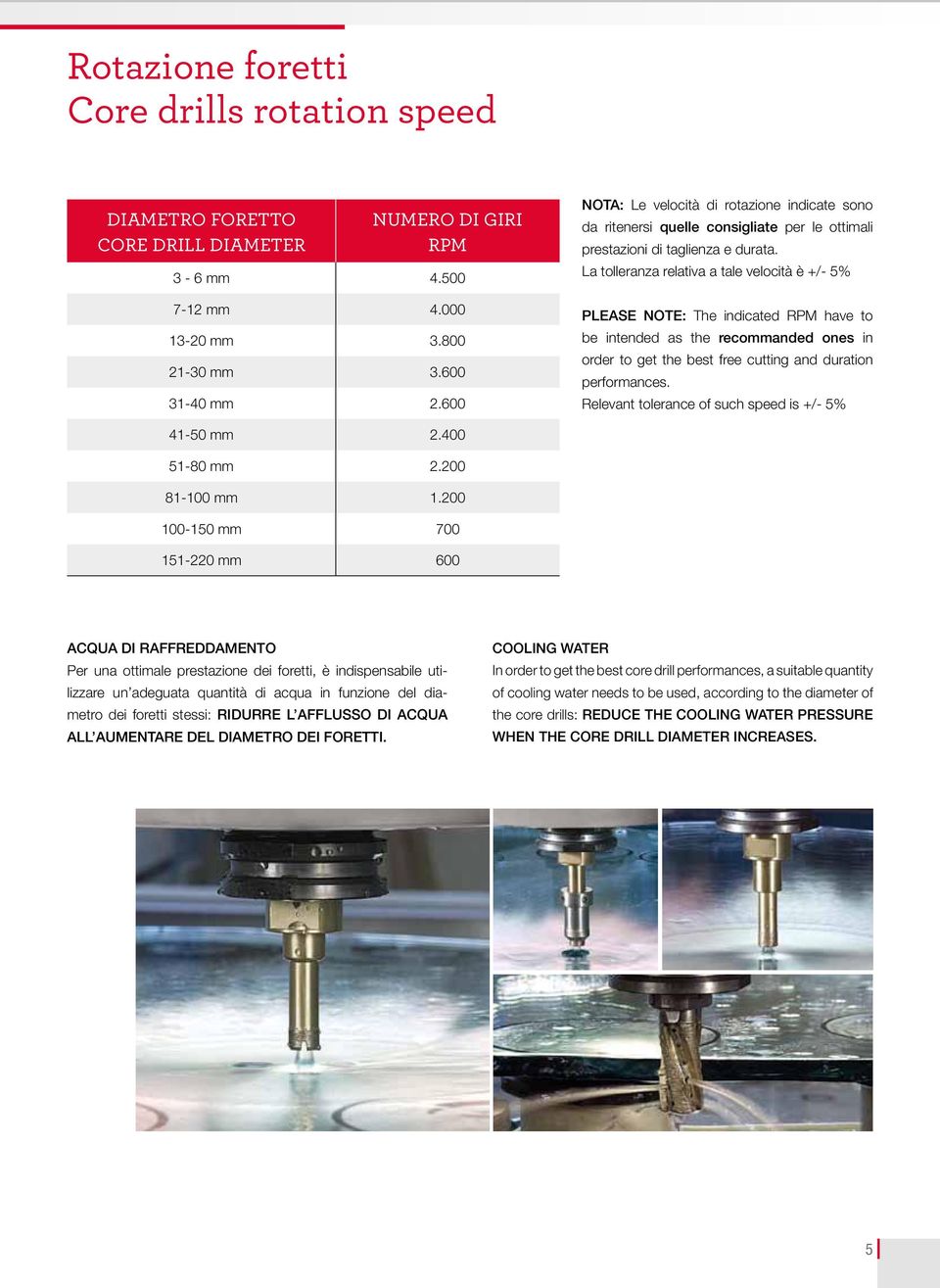 La tolleranza relativa a tale velocità è +/- 5% PLEASE NOTE: The indicated RPM have to be intended as the recommanded ones in order to get the best free cutting and duration performances.