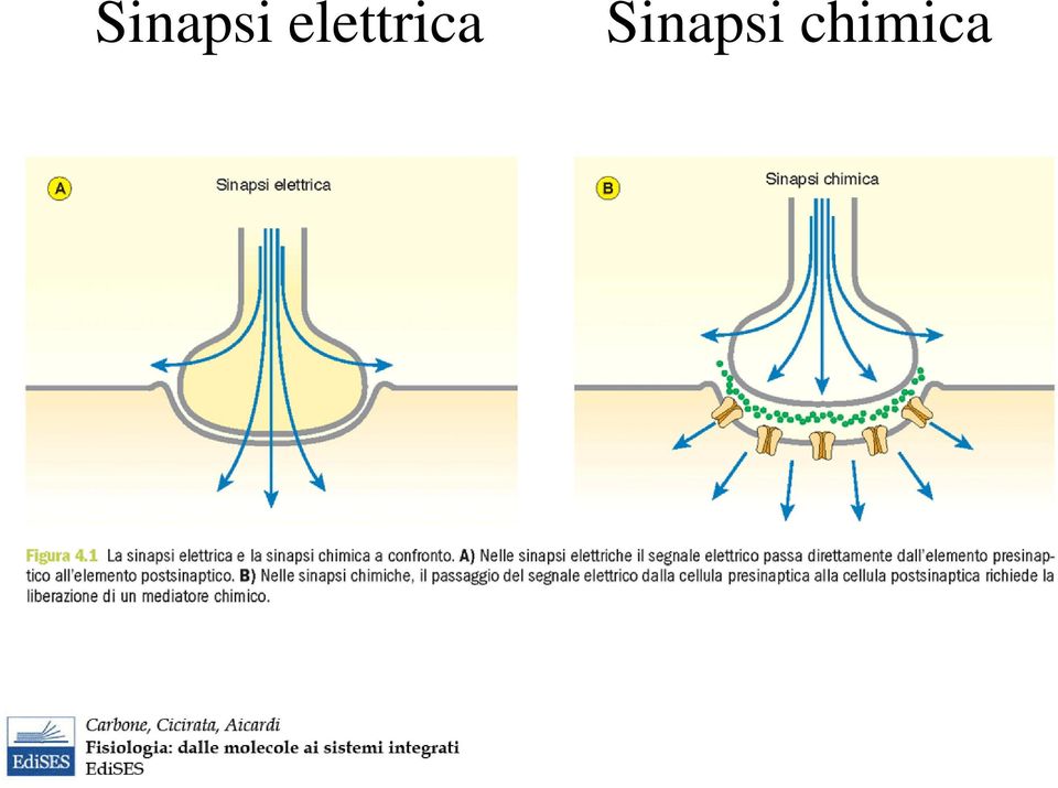 chimica