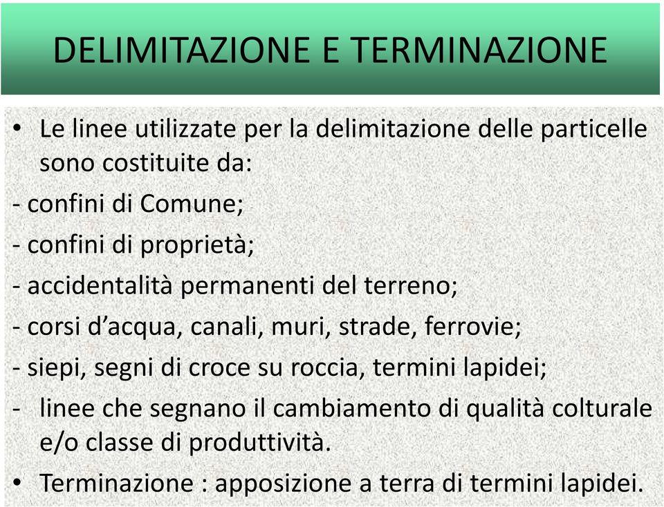 canali, muri, strade, ferrovie; - siepi, segni di croce su roccia, termini lapidei; - linee che segnano il