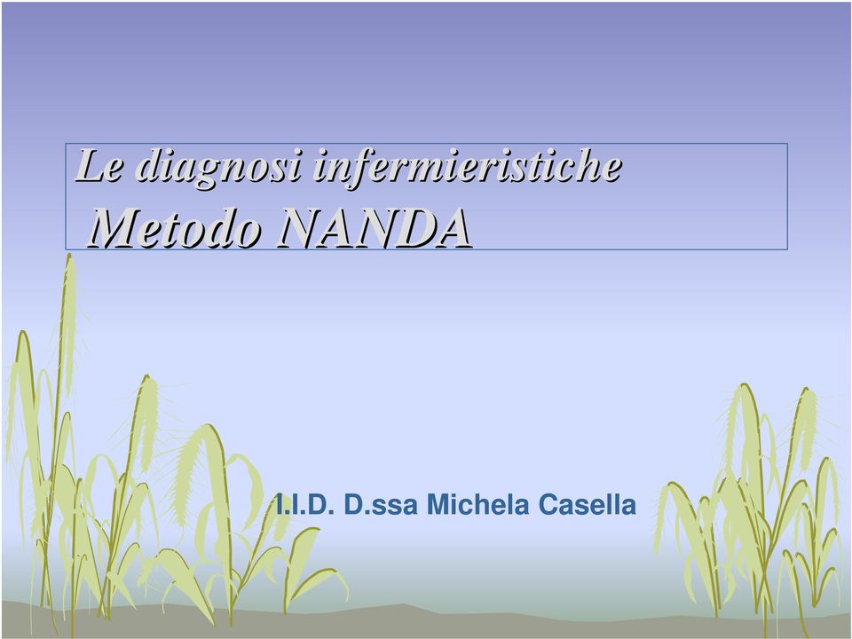 Metodo NANDA I.I.D. D.