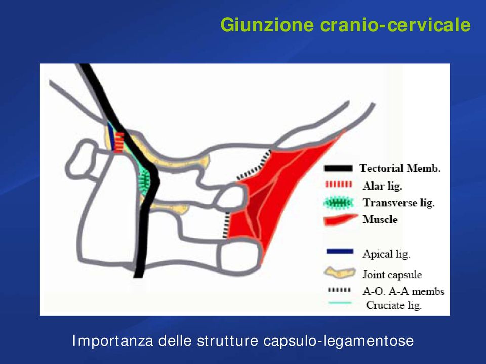 Importanza delle