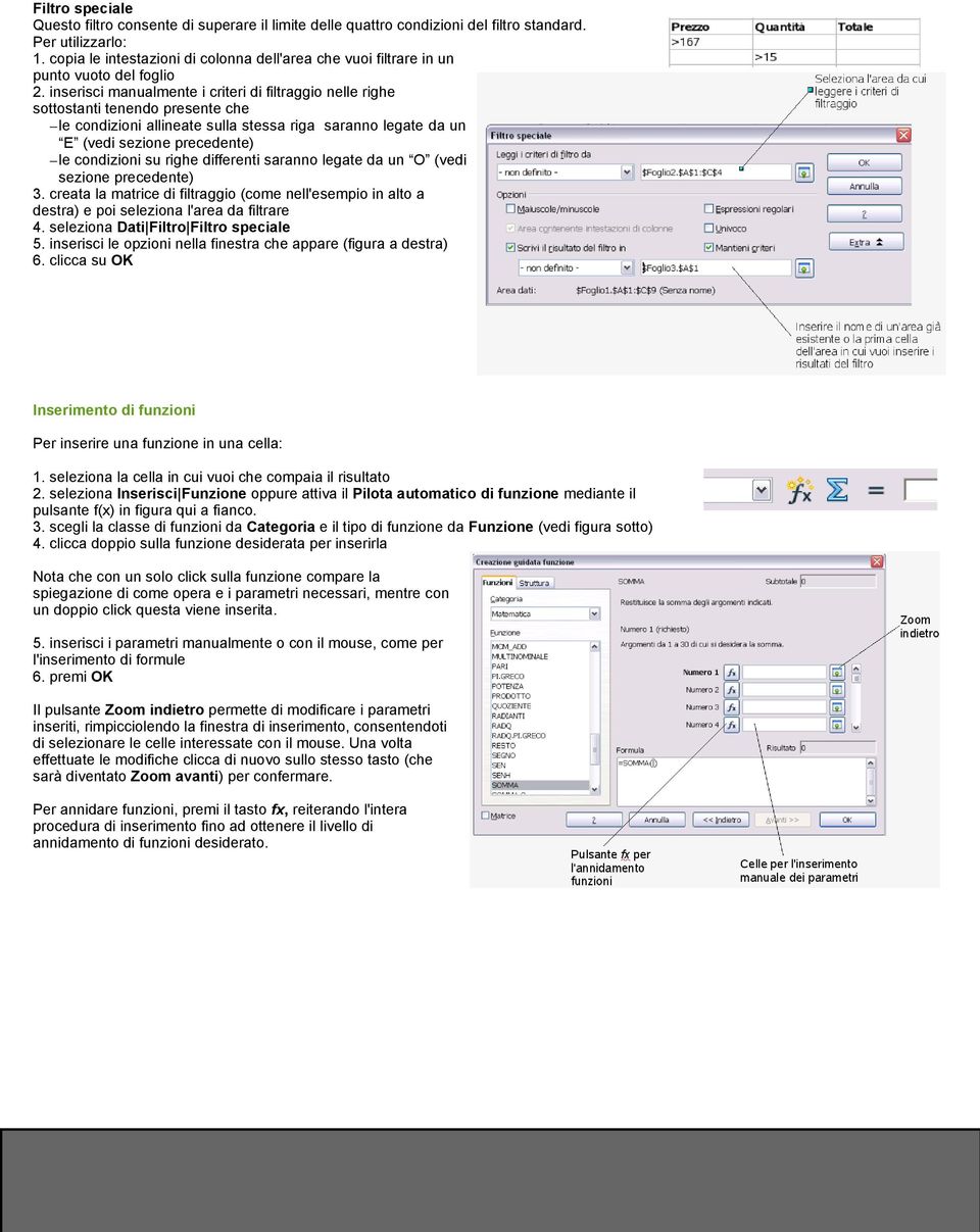 inserisci manualmente i criteri di filtraggio nelle righe sottostanti tenendo presente che le condizioni allineate sulla stessa riga saranno legate da un E (vedi sezione precedente) le condizioni su