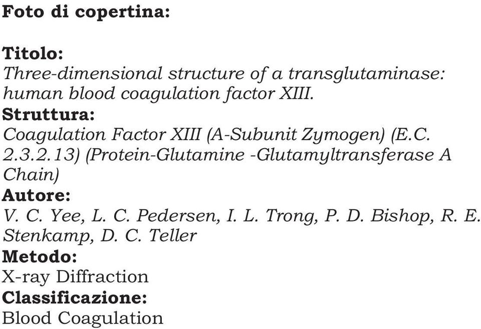 3.2.13) (Protein-Glutamine -Glutamyltransferase A Chain) Autore: V. C. Yee, L. C. Pedersen, I. L. Trong, P.
