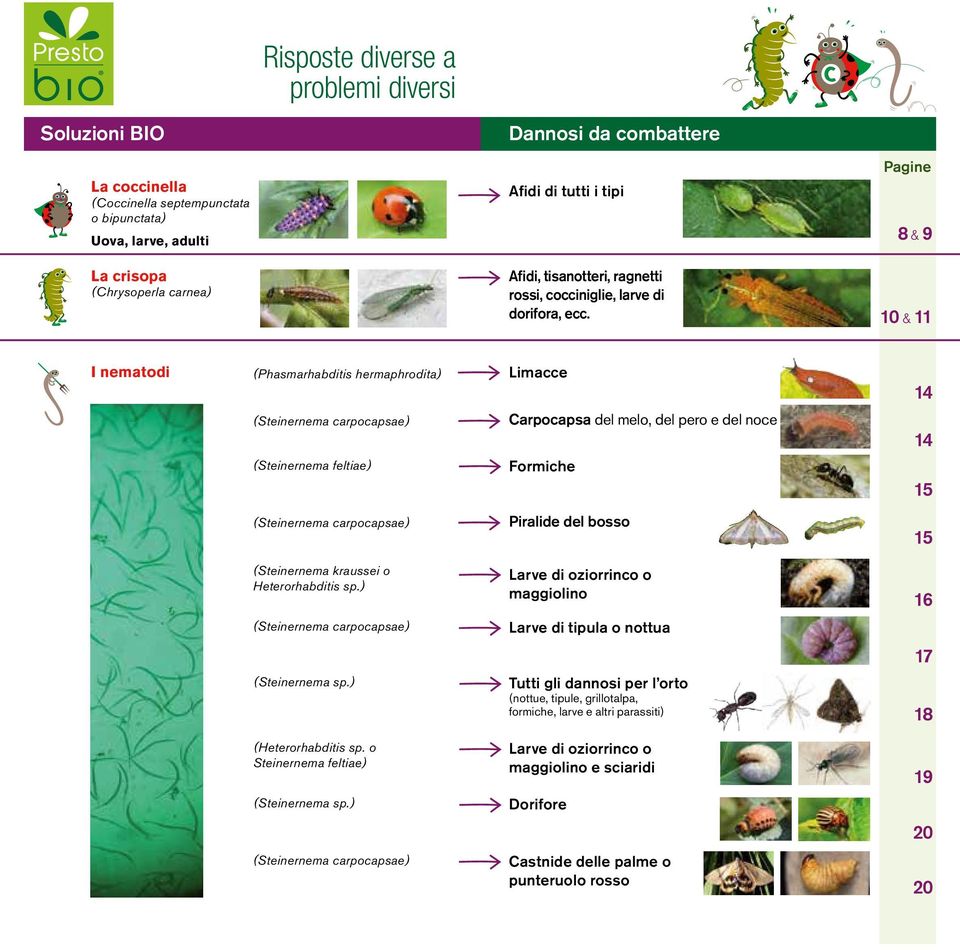 Pagine 8 & 9 10 & 11 I nematodi (Phasmarhabditis hermaphrodita) Limacce 14 (Steinernema carpocapsae) Carpocapsa del melo, del pero e del noce 14 (Steinernema feltiae) Formiche 15 (Steinernema