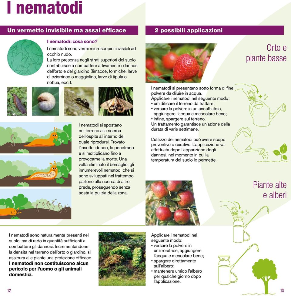 nottua, ecc.). I nematodi si spostano nel terreno alla ricerca dell ospite all interno del quale riprodursi. Trovato l insetto idoneo, lo penetrano e si moltiplicano fino a provocarne la morte.