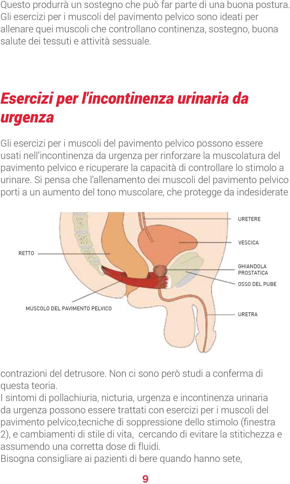 Esercizi per l'incontinenza urinaria da urgenza Gli esercizi per i muscoli del pavimento pelvico possono essere usati nell incontinenza da urgenza per rinforzare la muscolatura del pavimento pelvico