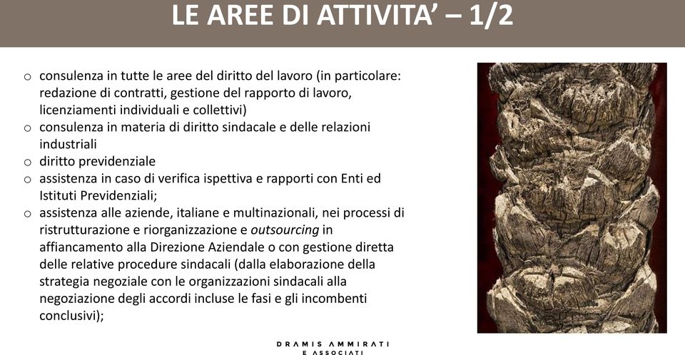 Previdenziali; o assistenza alle aziende, italiane e multinazionali, nei processi di ristrutturazione e riorganizzazione e outsourcing in affiancamento alla Direzione Aziendale o con