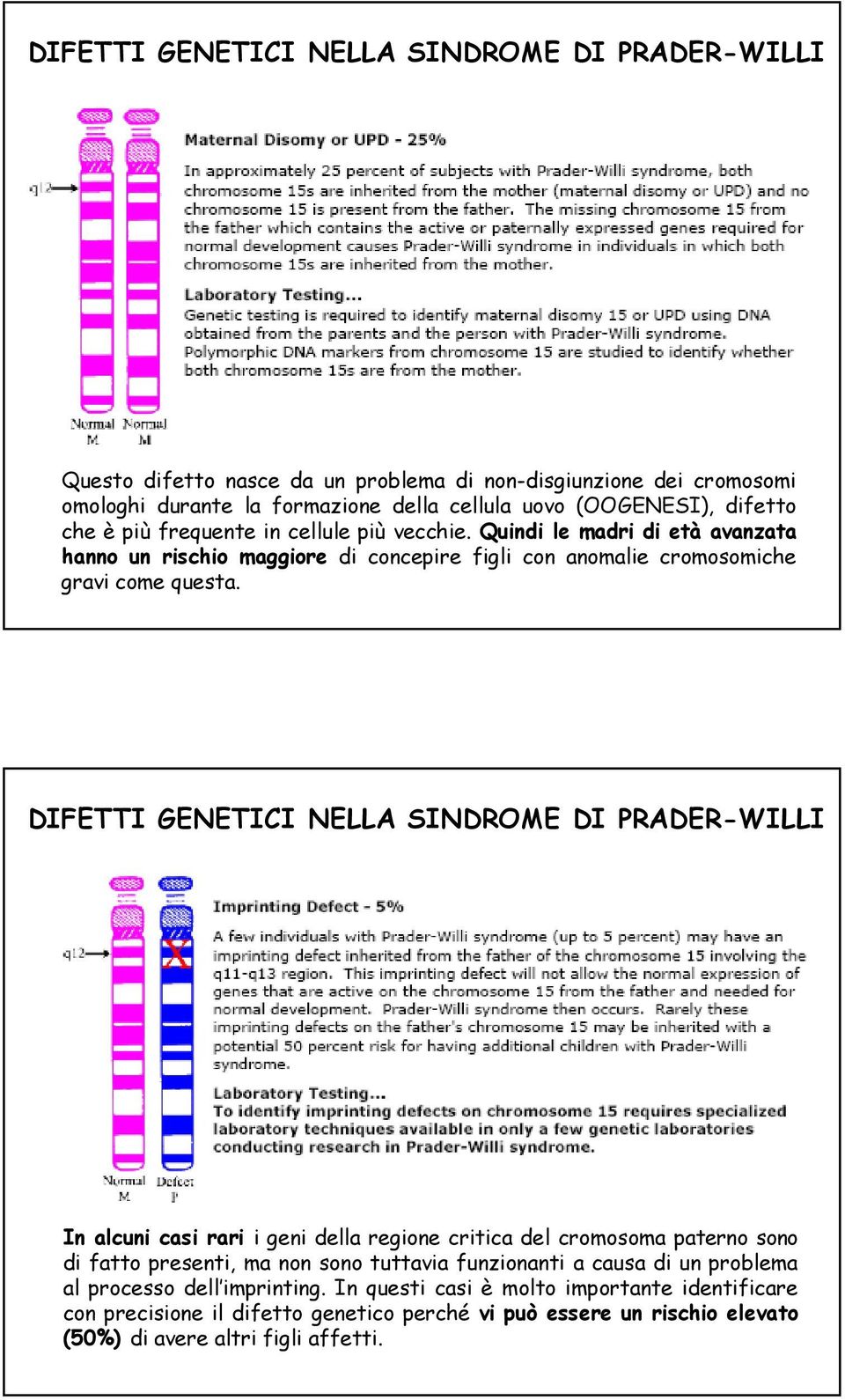 DIFETTI GENETICI NELLA SINDROME DI PRADER-WILLI In alcuni casi rari i geni della regione critica del cromosoma paterno sono di fatto presenti, ma non sono tuttavia funzionanti a causa