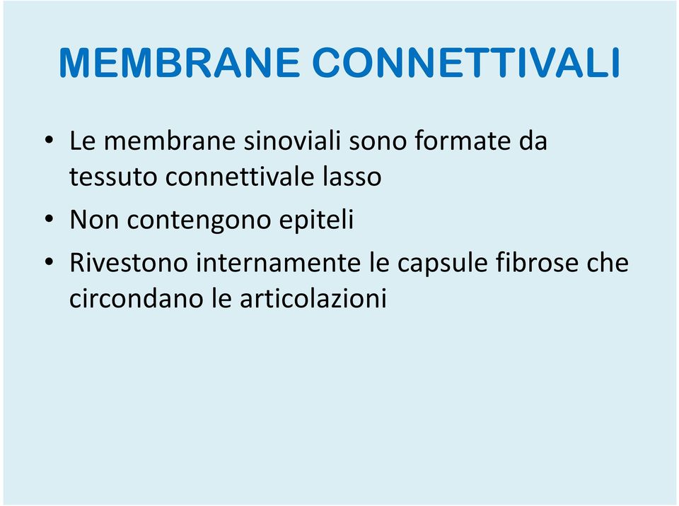 Non contengono epiteli Rivestono internamente