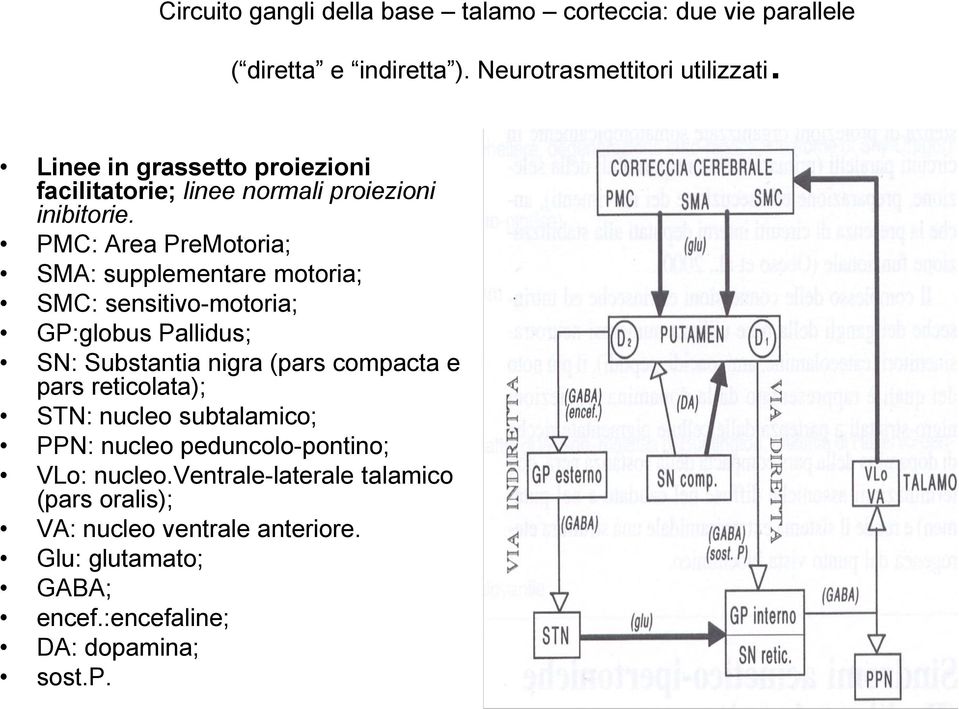 PMC: Area PreMotoria; SMA: supplementare motoria; SMC: sensitivo-motoria; GP:globus Pallidus; SN: Substantia nigra (pars compacta e pars