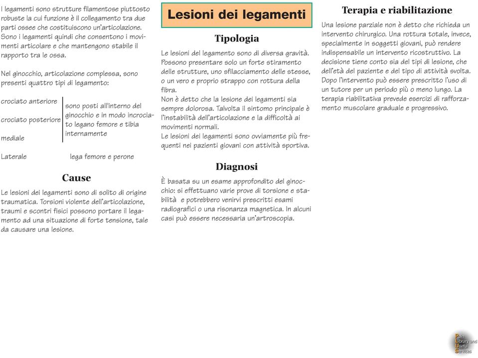 Nel ginocchio, articolazione complessa, sono presenti quattro tipi di legamento: crociato anteriore crociato posteriore mediale Laterale sono posti all'interno del ginocchio e in modo incrociato