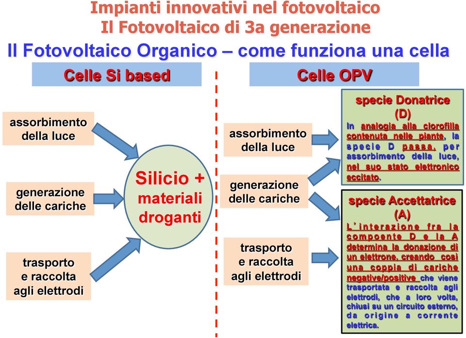 nelle piante, la specie D passa, per assorbimento della luce, nel suo stato elettronico eccitato.