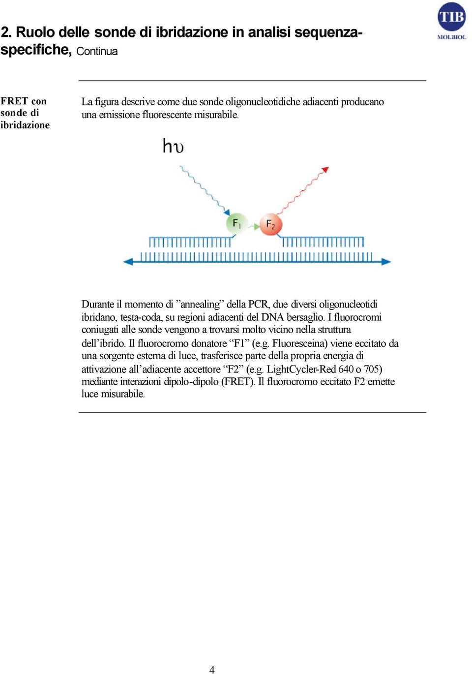 I fluorocromi coniugati alle sonde vengono a trovarsi molto vicino nella struttura dell ibrido. Il fluorocromo donatore F1 (e.g. Fluoresceina) viene eccitato da una sorgente esterna di luce, trasferisce parte della propria energia di attivazione all adiacente accettore F2 (e.