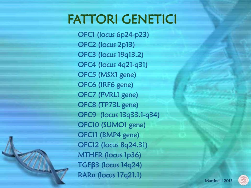 OFC8 (TP73L gene) OFC9 (locus 13q33.