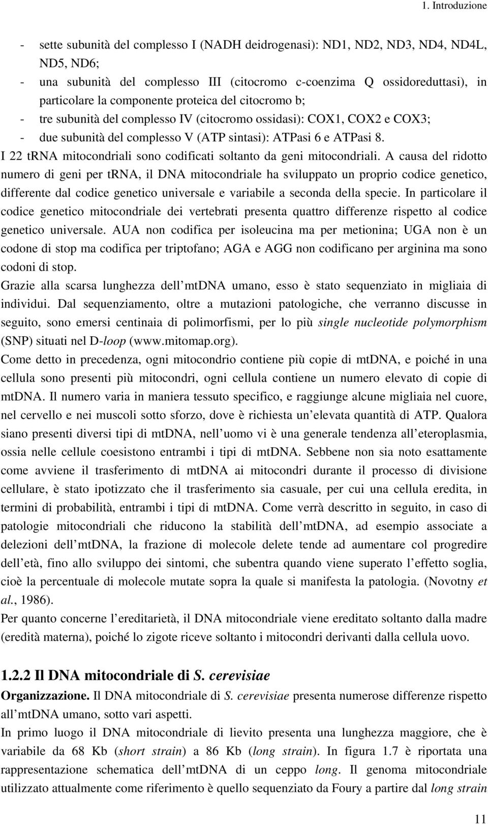 I 22 trna mitocondriali sono codificati soltanto da geni mitocondriali.