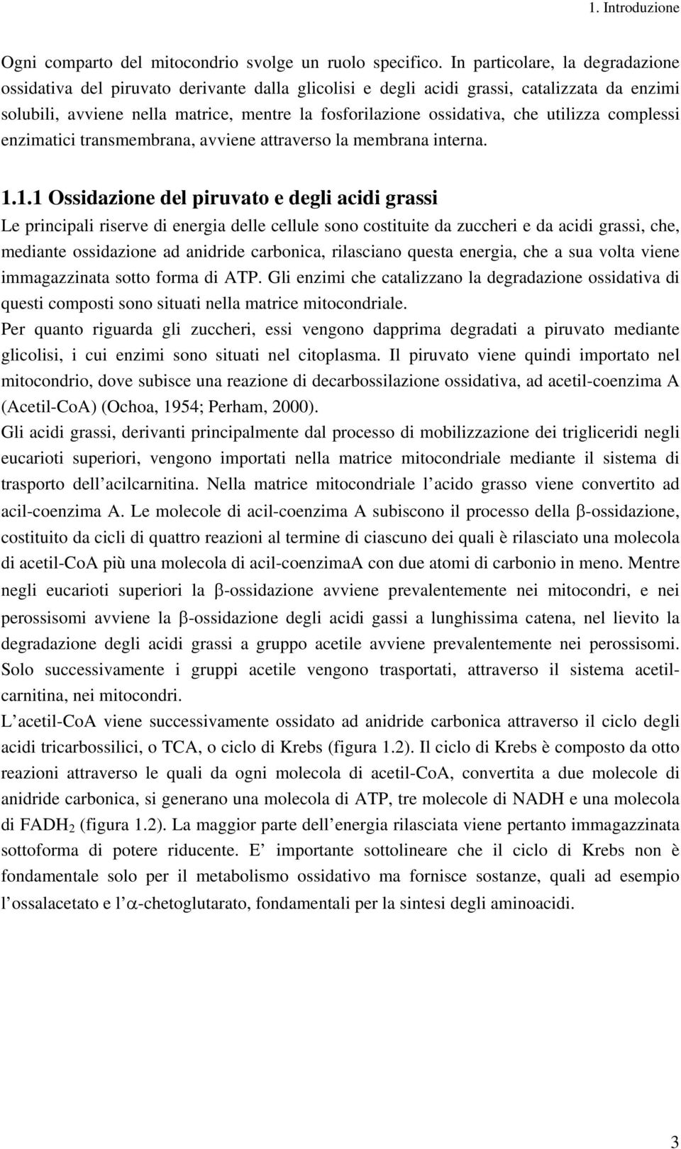 utilizza complessi enzimatici transmembrana, avviene attraverso la membrana interna. 1.