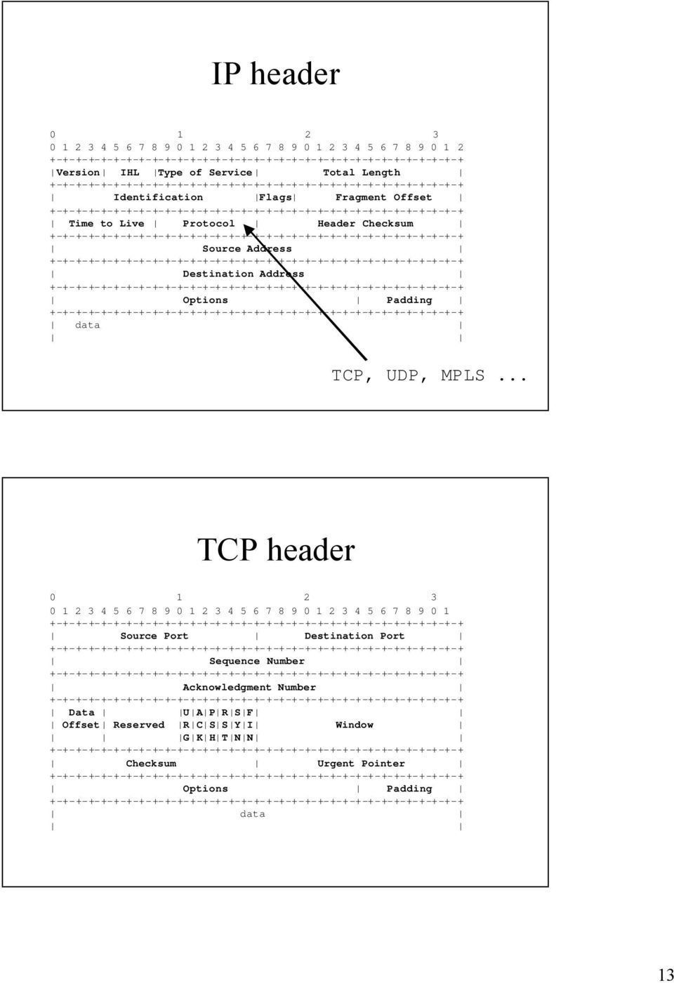 TCP, UDP, MPLS.