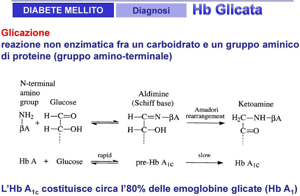 di proteine (gruppo amino-terminale) L Hb A 1c