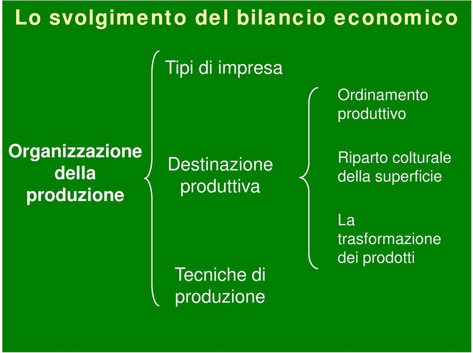 produttiva Tecniche di produzione Ordinamento