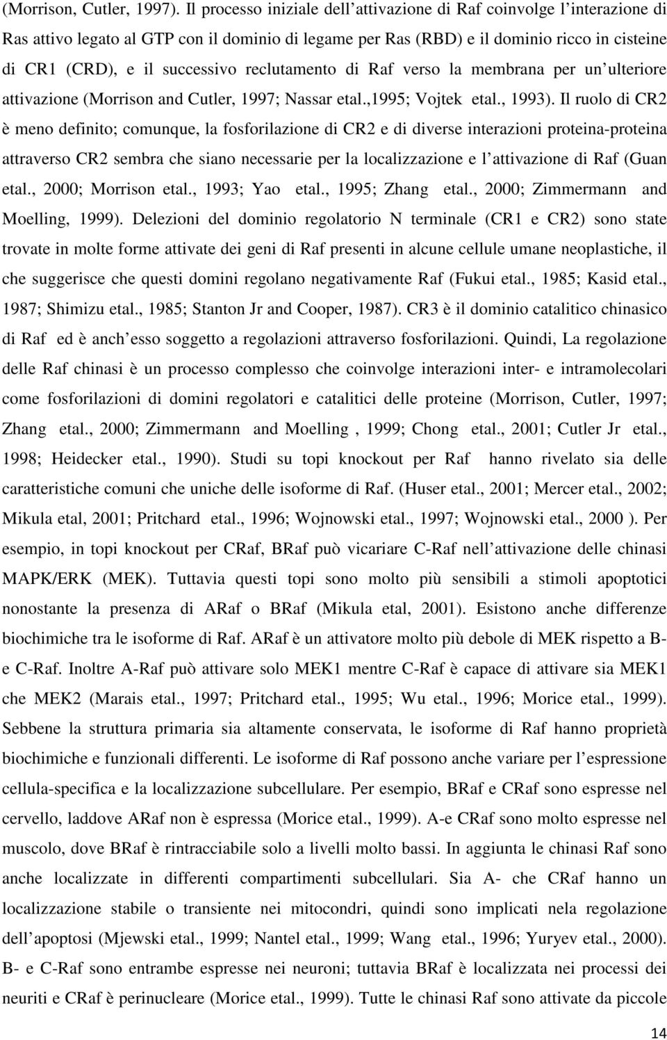 reclutamento di Raf verso la membrana per un ulteriore attivazione (Morrison and Cutler, 1997; Nassar etal.,1995; Vojtek etal., 1993).
