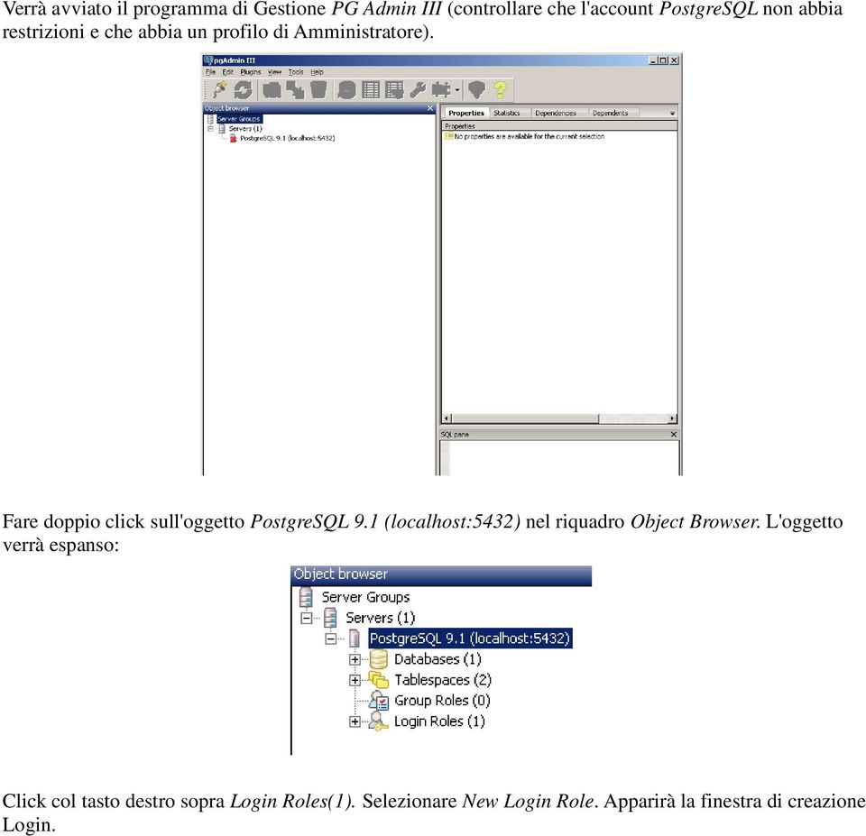 Fare doppio click sull'oggetto PostgreSQL 9.1 (localhost:5432) nel riquadro Object Browser.