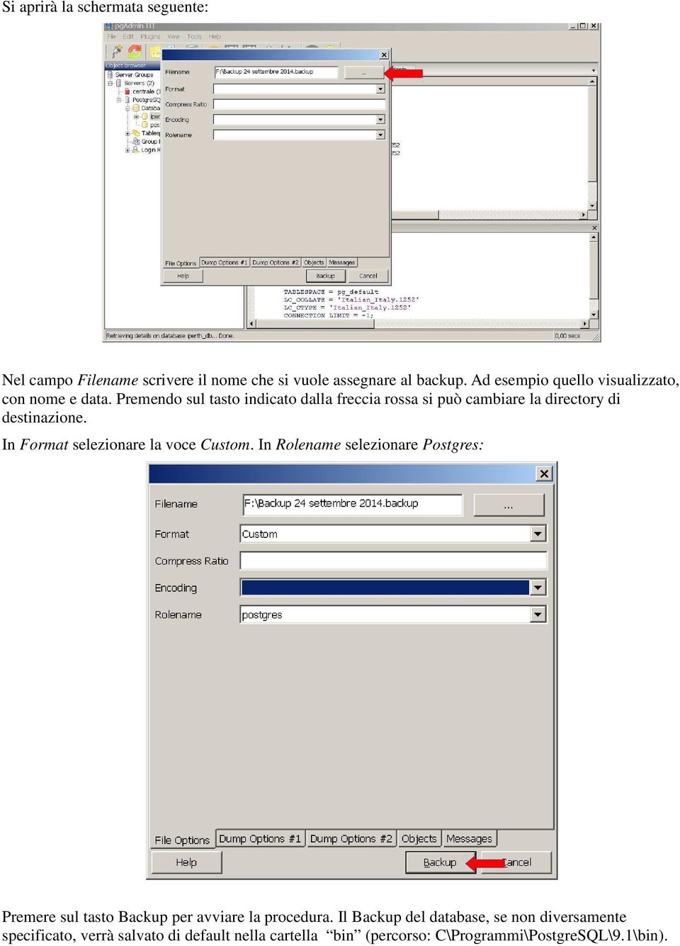 Premendo sul tasto indicato dalla freccia rossa si può cambiare la directory di destinazione.