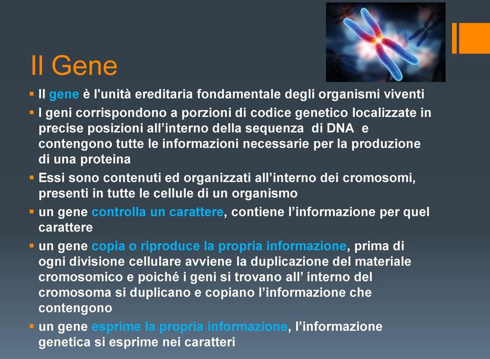 controlla un carattere, contiene l informazione per quel carattere un gene copia o riproduce la propria informazione, prima di ogni divisione cellulare avviene la duplicazione del materiale