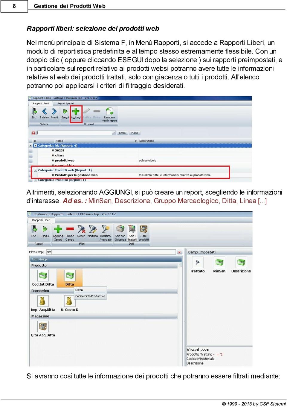 Con un doppio clic ( oppure cliccando ESEGUI dopo la selezione ) sui rapporti preimpostati, e in particolare sul report relativo ai prodotti websi potranno avere tutte le informazioni relative al web