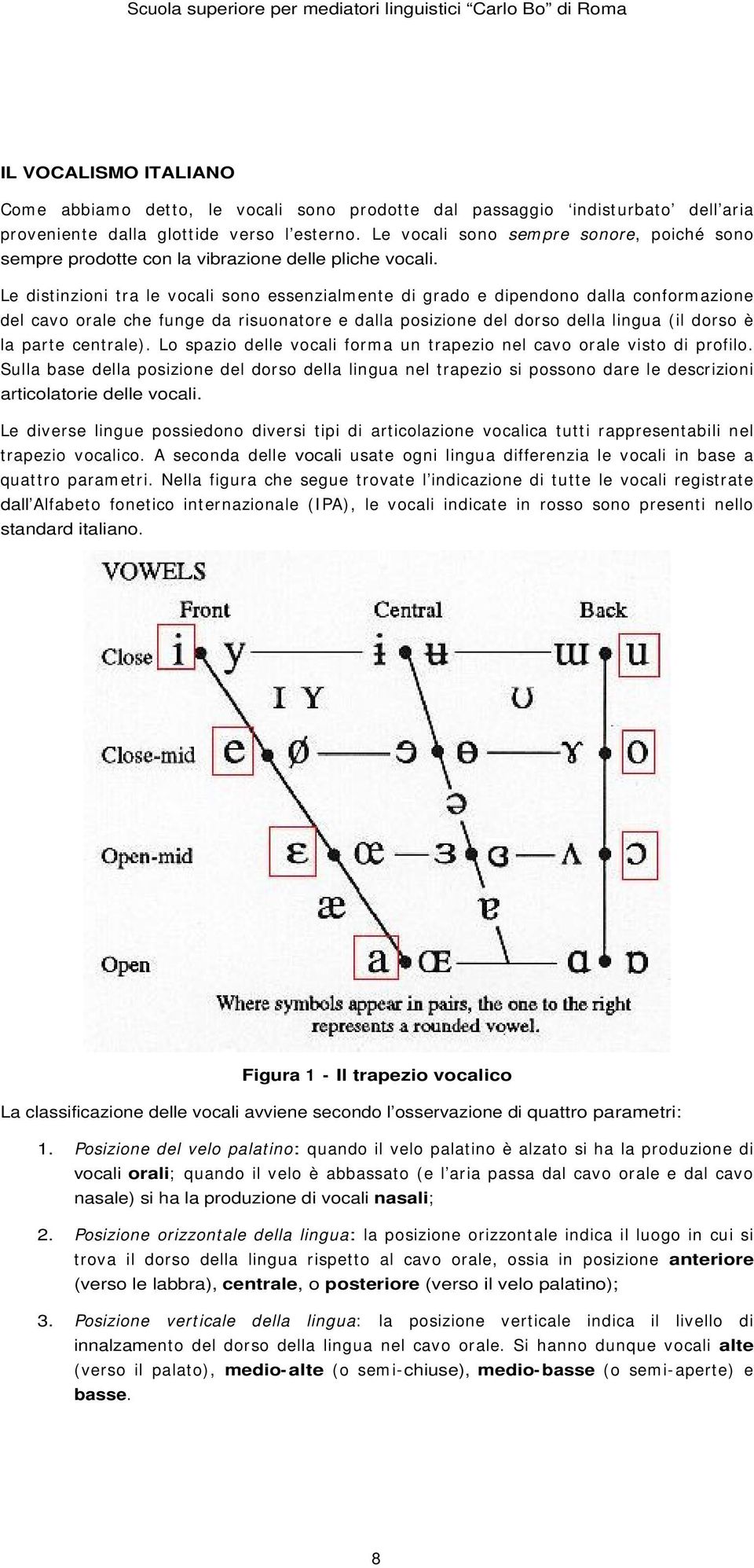 Le distinzioni tra le vocali sono essenzialm ente di grado e dipendono dalla conform azione del cavo orale che funge da risuonatore e dalla posizione del dorso della lingua ( il dorso è la parte