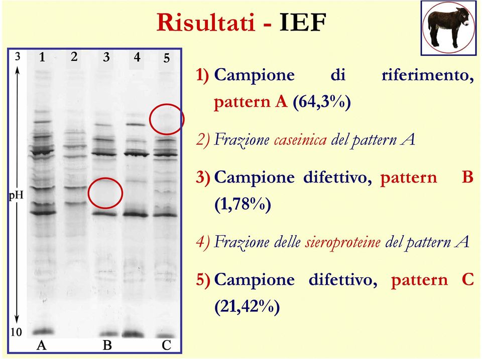 Campione difettivo, pattern B (1,78%) 4) Frazione delle