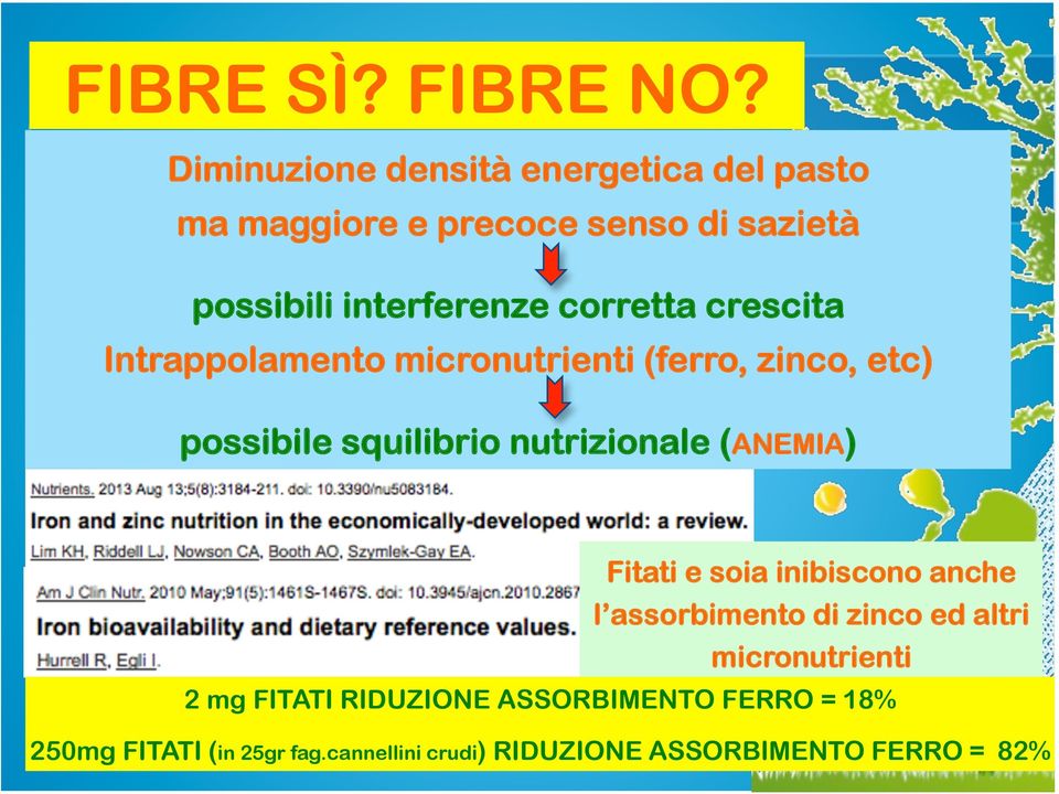 corretta crescita Intrappolamento micronutrienti (ferro, zinco, etc) possibile squilibrio nutrizionale