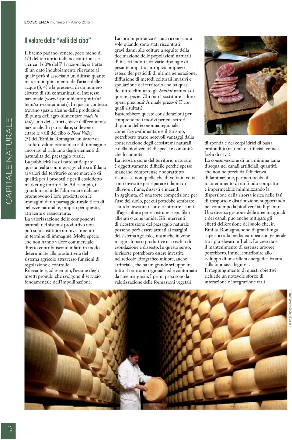 isprambiente.gov.it/it/ temi/siti-contaminati). In questo contesto trovano spazio alcune delle produzioni di punta dell agro-alimentare made in Italy, uno dei settori chiave dell economia nazionale.