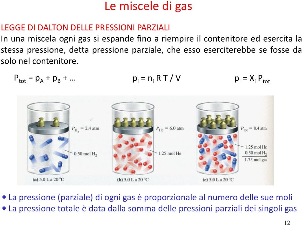 solo nel contenitore.