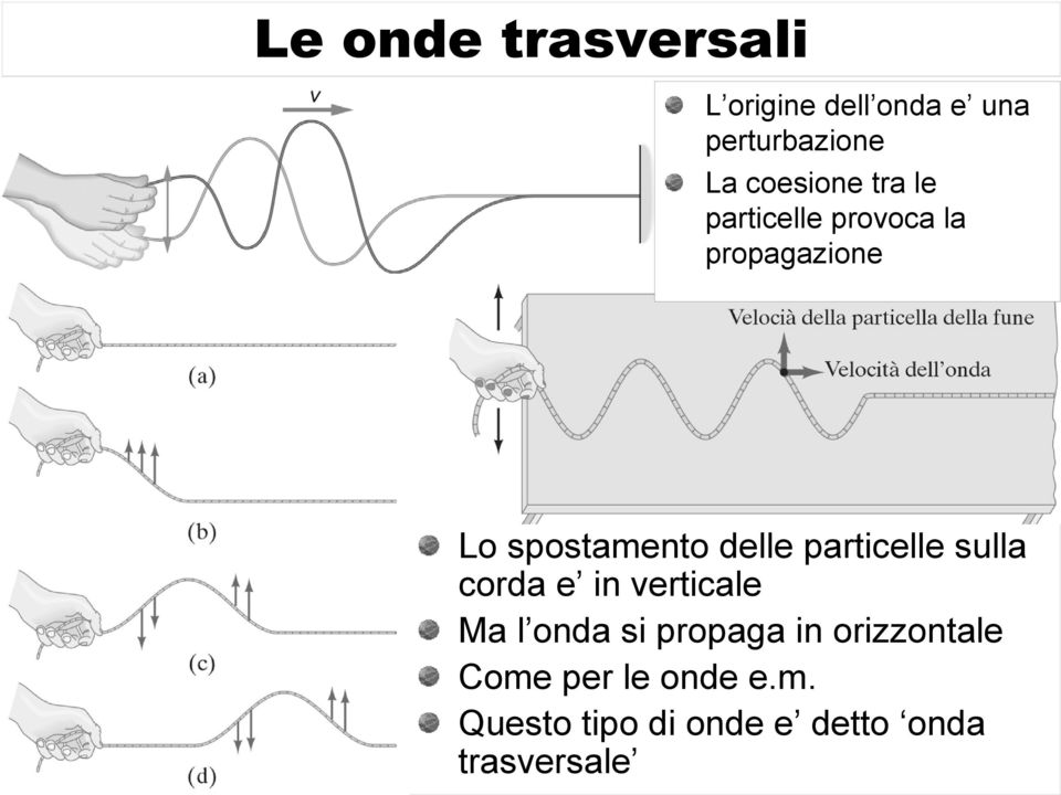 sulla corda e in verticale Ma l onda si propaga in orizzontale Come per