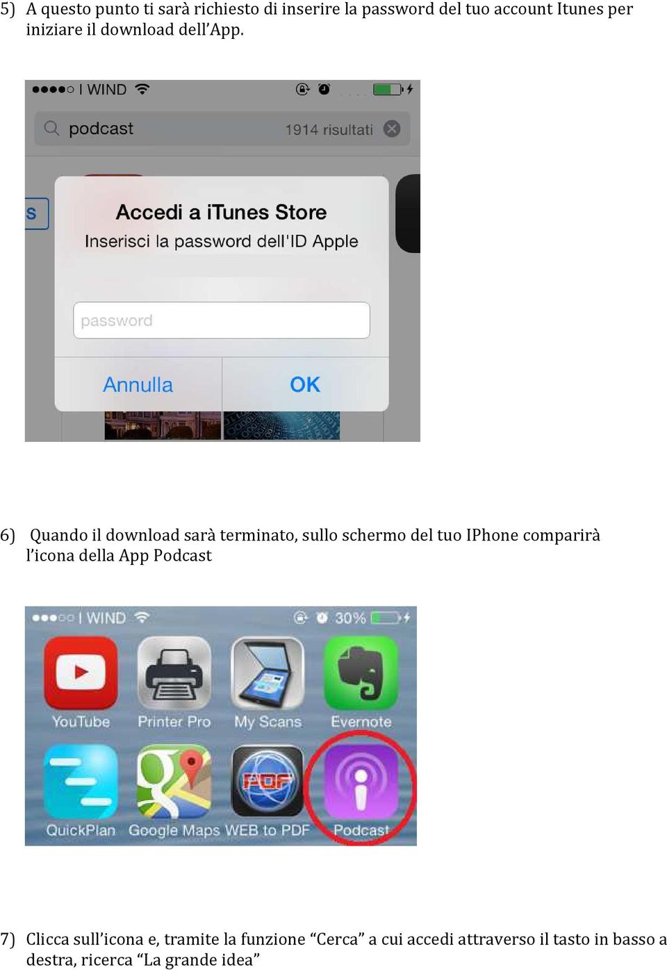 6) Quando il download sarà terminato, sullo schermo del tuo IPhone comparirà l icona
