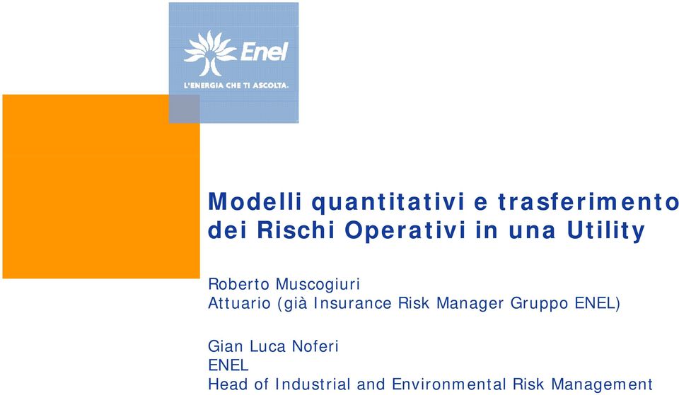 Insurance Risk Manager Gruppo ENEL) Gian Luca Noferi Gian